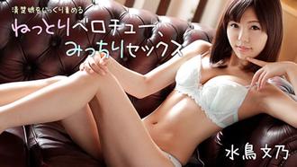 HEYZO-1726 整潔的愛心完美的性 水鳥文乃